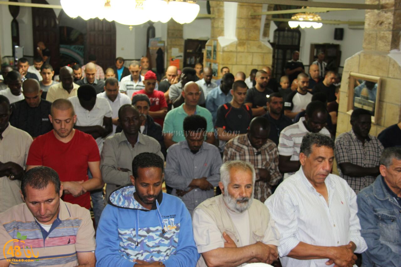 trawe7 salahsaj (19).jpg